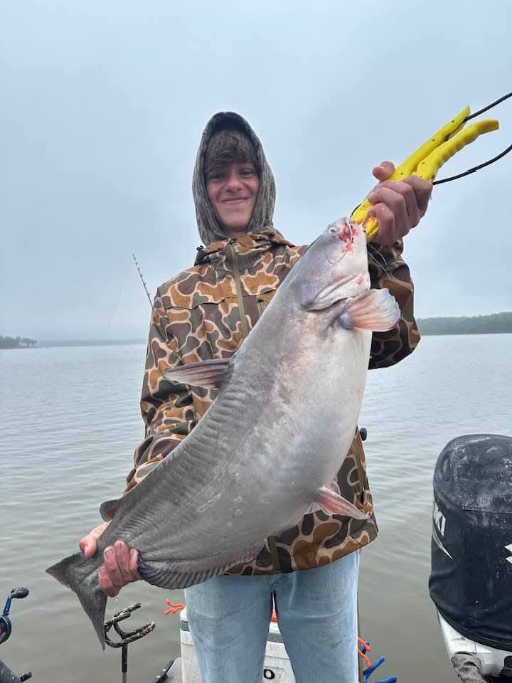 Blue catfish making a splash in Mocksville NC!