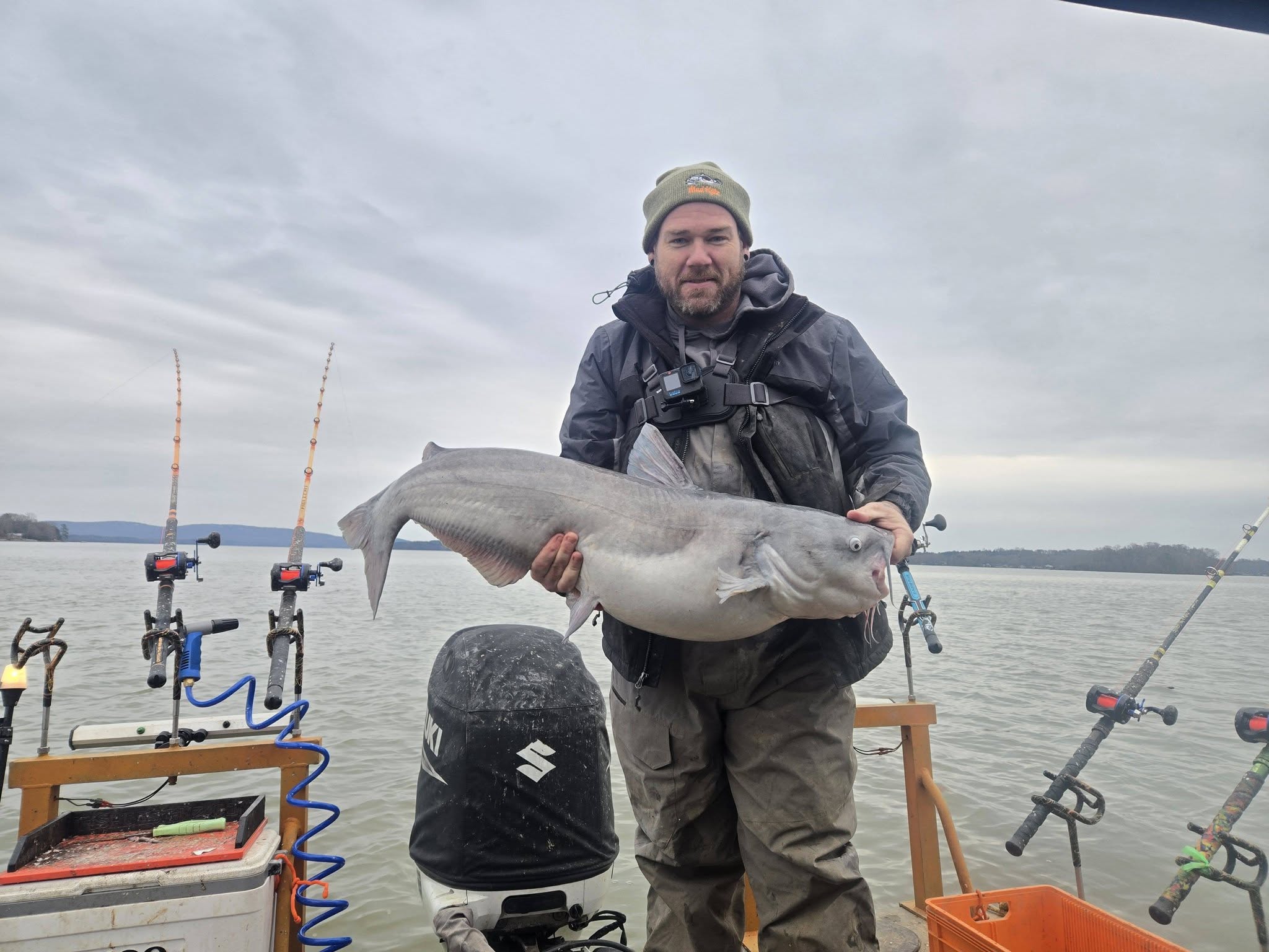 Blue catfish action in Mocksville NC!