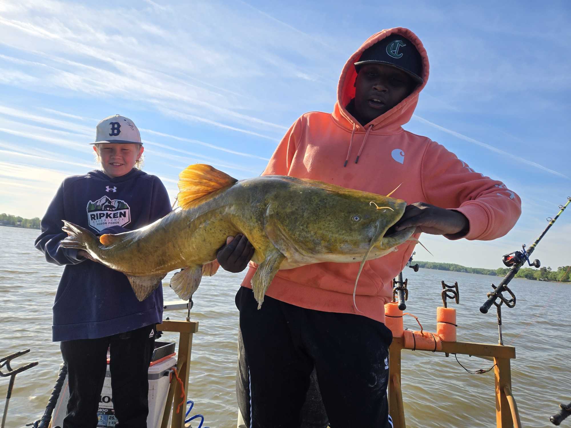 Monster flathead catfish from Mocksville NC waters!