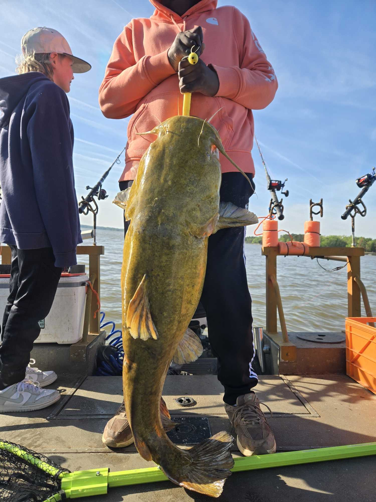 Monster flathead catfish caught in Mocksville NC waters!