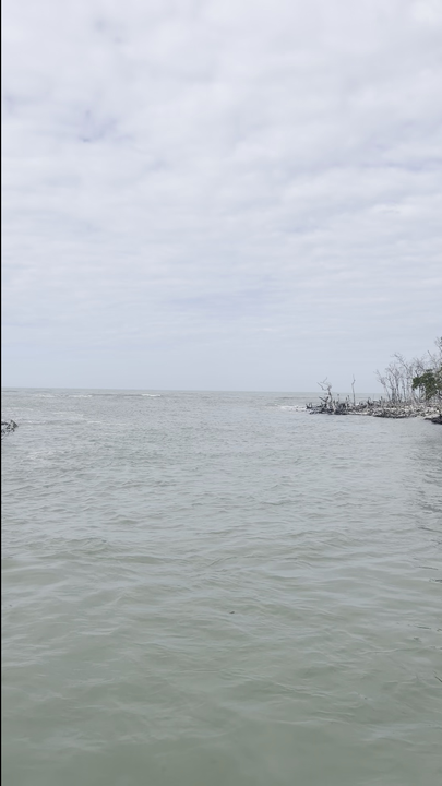 Perfect fishing waters await at Marco Island today!