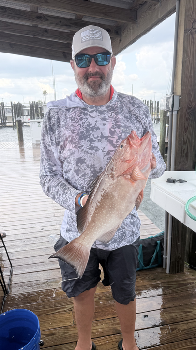 Beautiful South Florida red grouper from the docks!