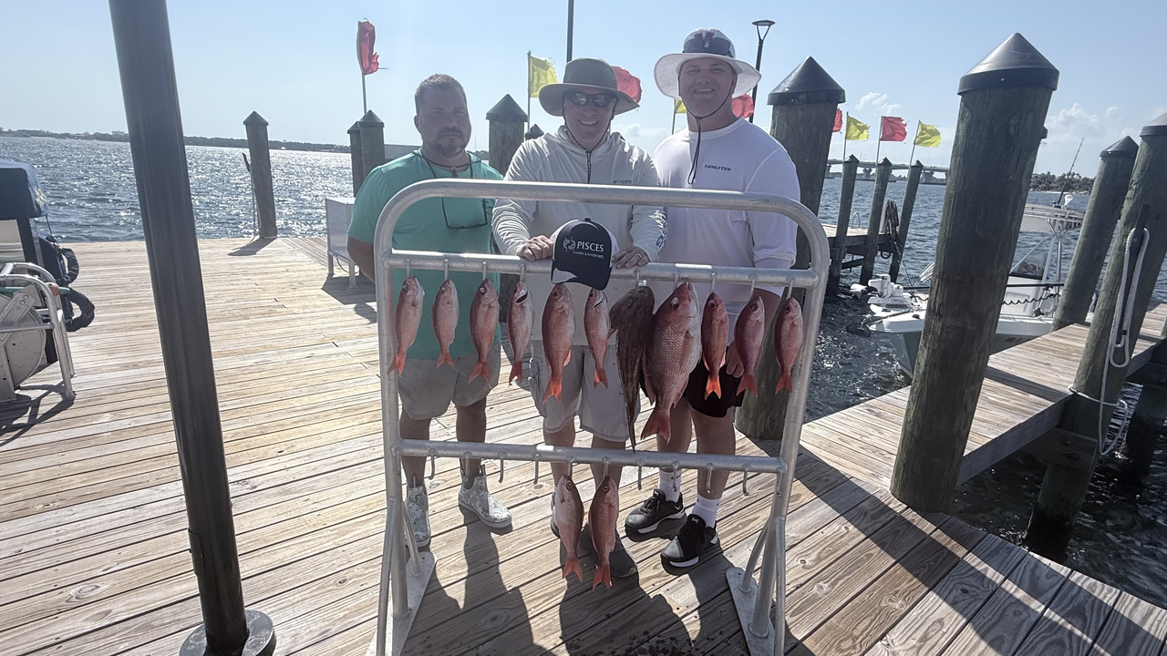 Five beautiful South Florida red snapper on display!