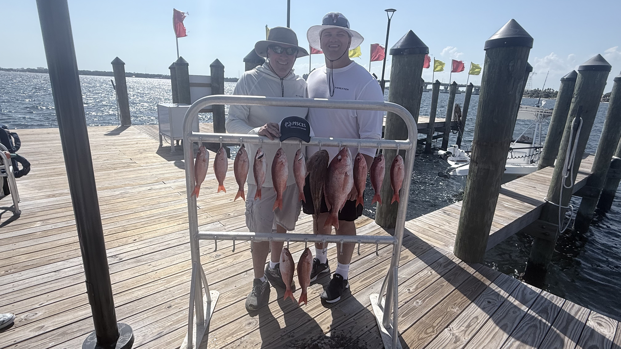 Four beautiful South Florida red snapper ready for the table!