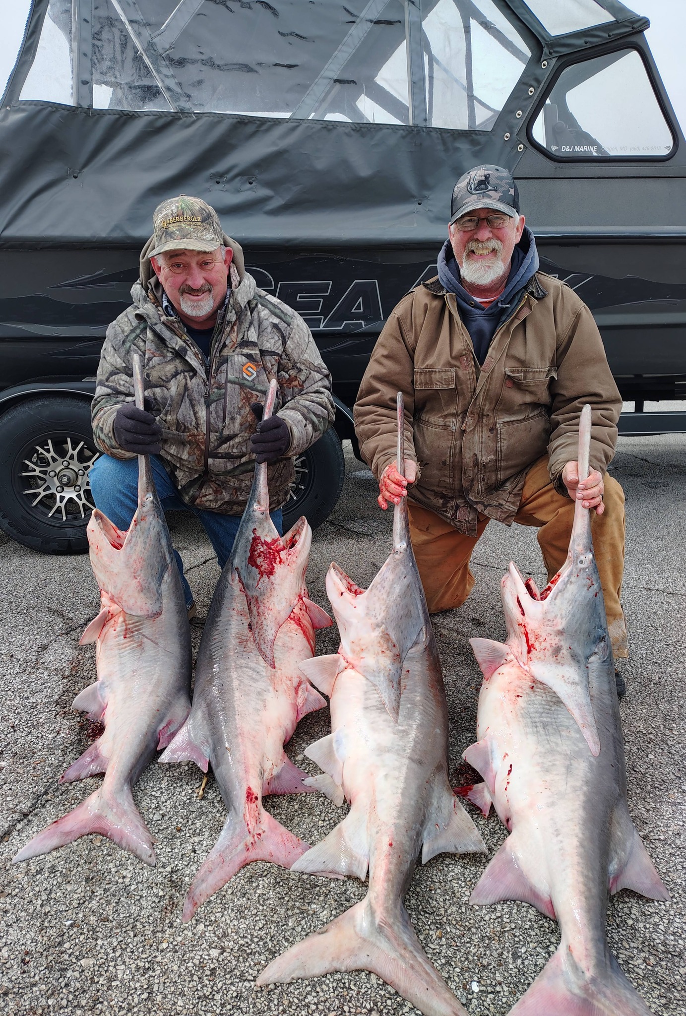Giant Truman Lake Paddlefish Snagging