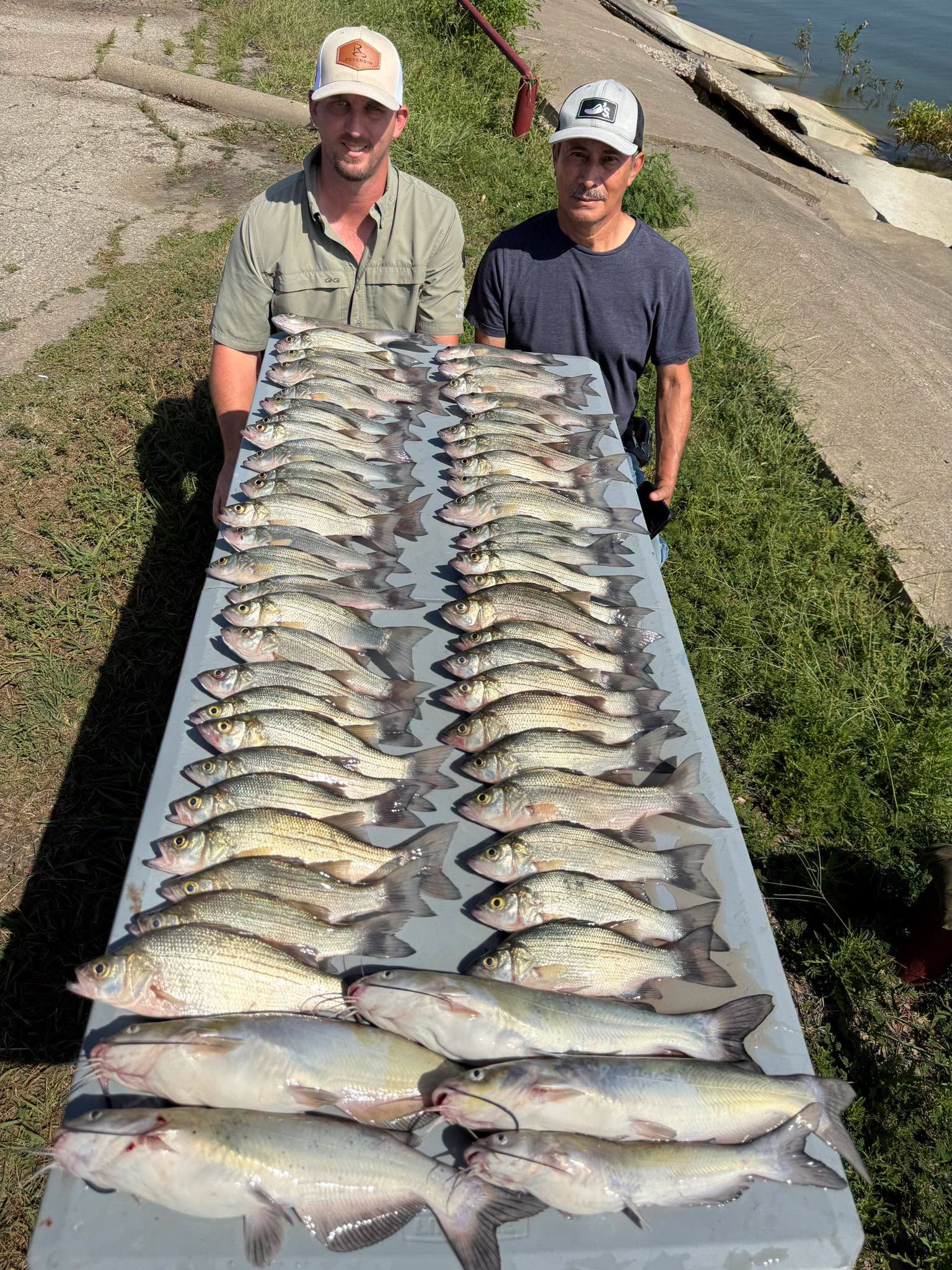 Outstanding mixed bag of white bass and catfish from Plano!