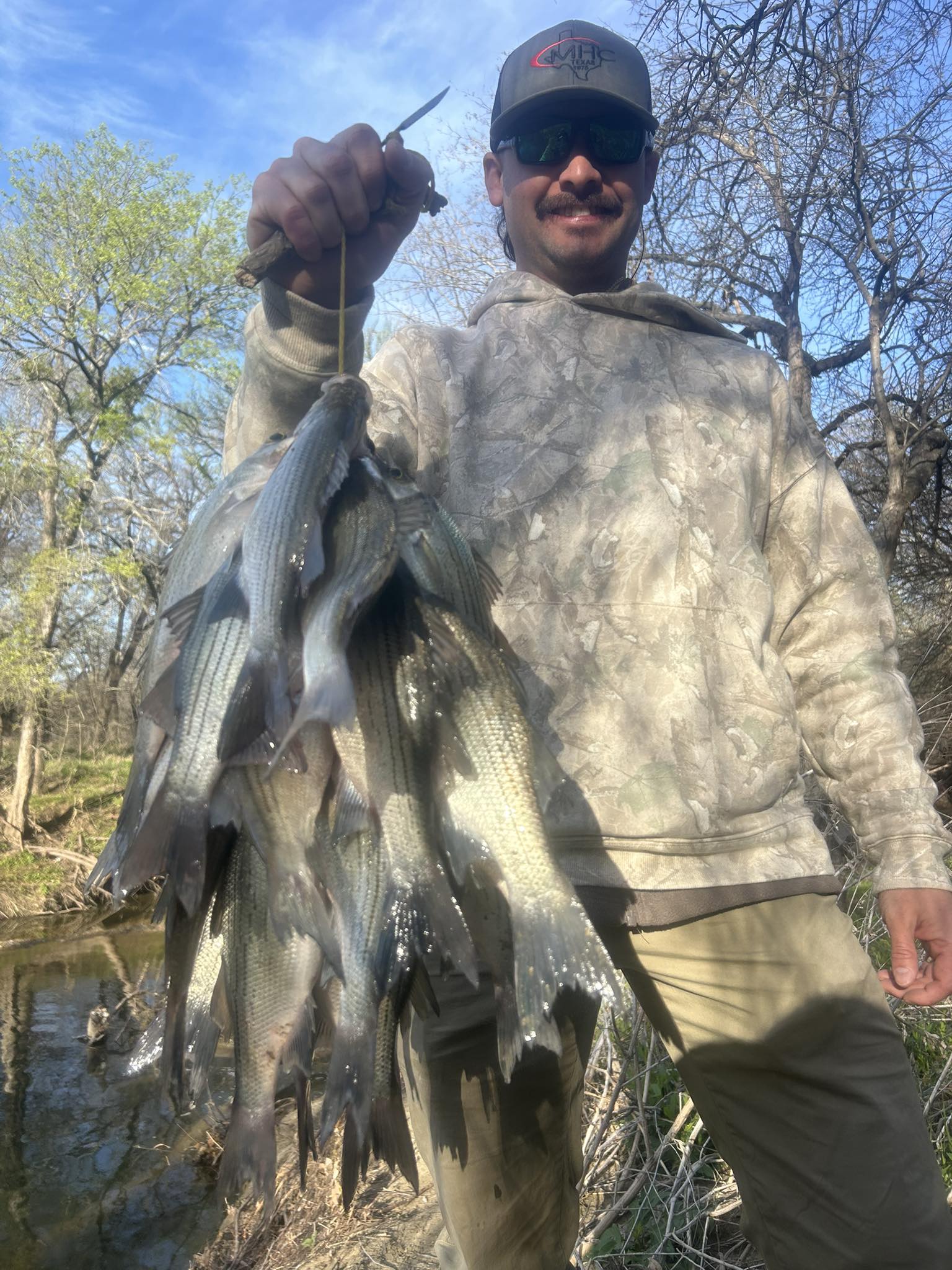 Solid White Bass Haul