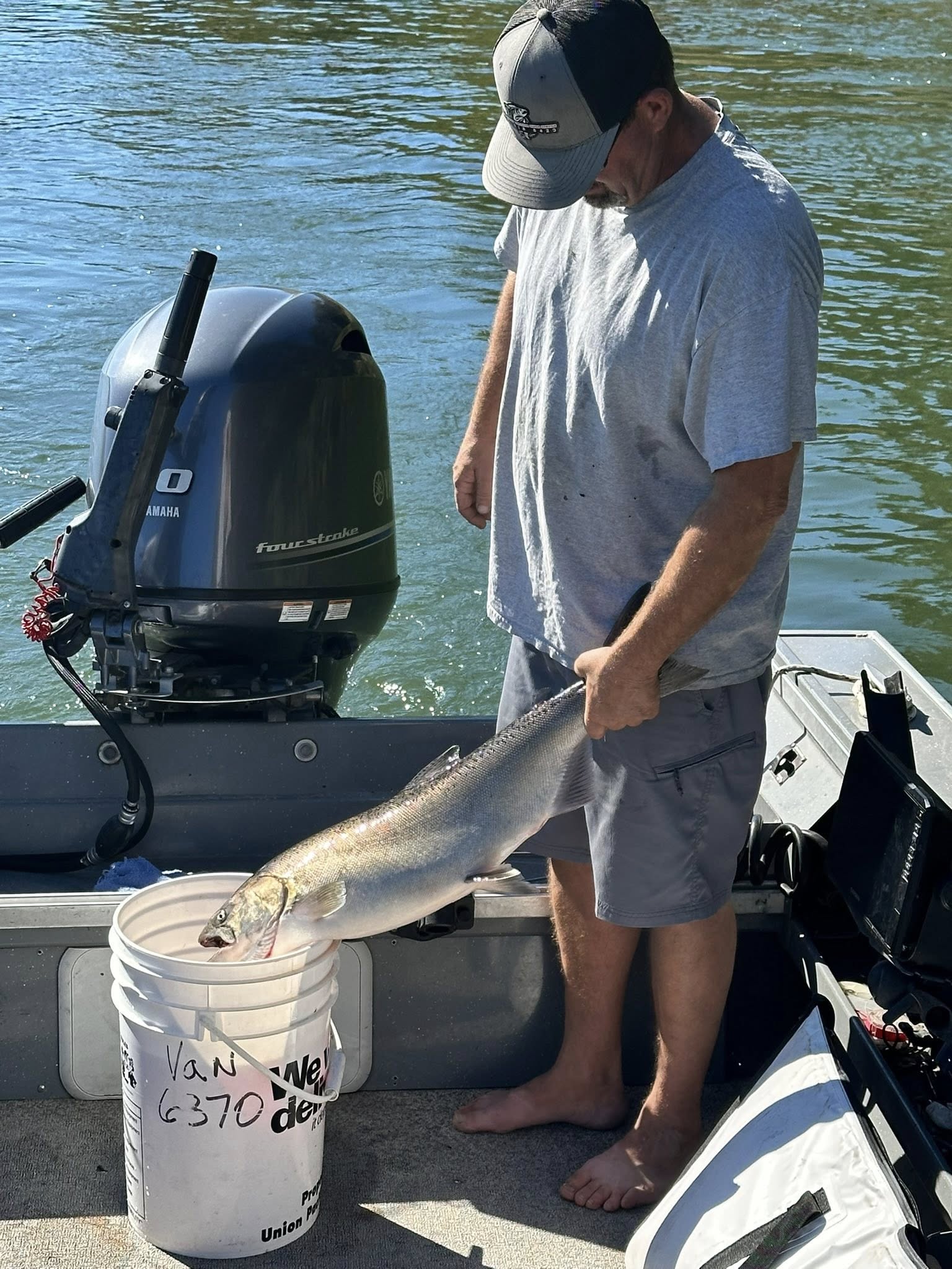 Magnificent fishing catch of a Chinook salmon being placed in the bucket!