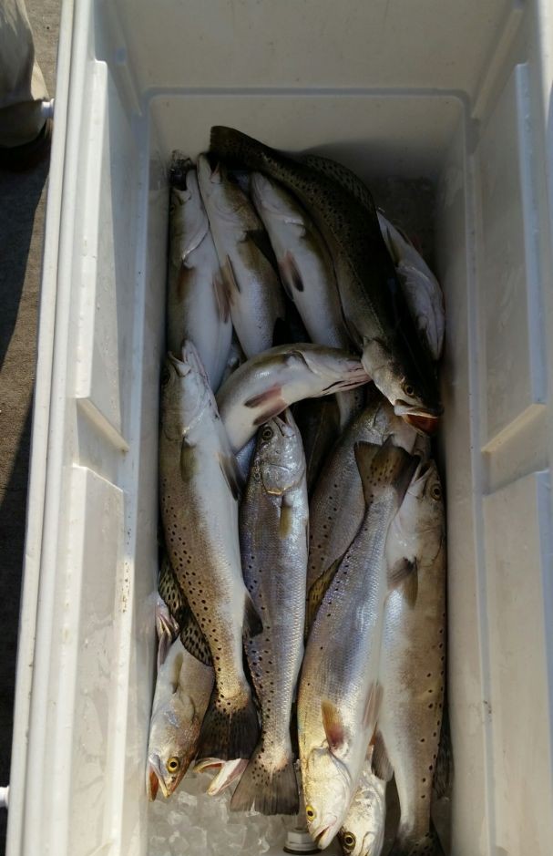 Best Port O'Connor Bay Fishing