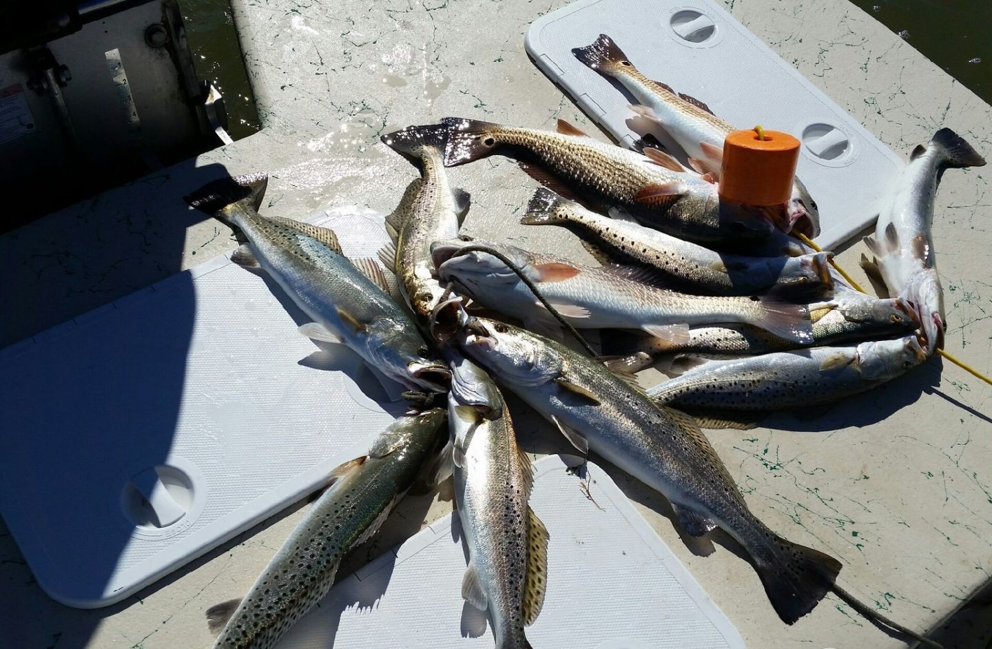 Catching Trout In Port O’Connor