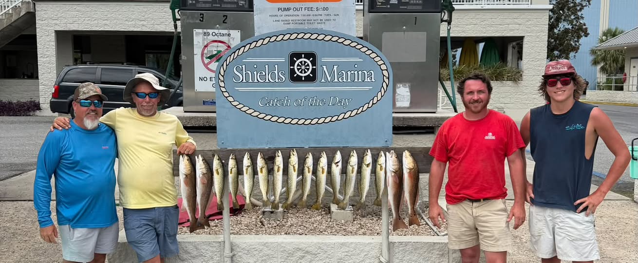 Inshore catches Stacked up! St Marks, FL
