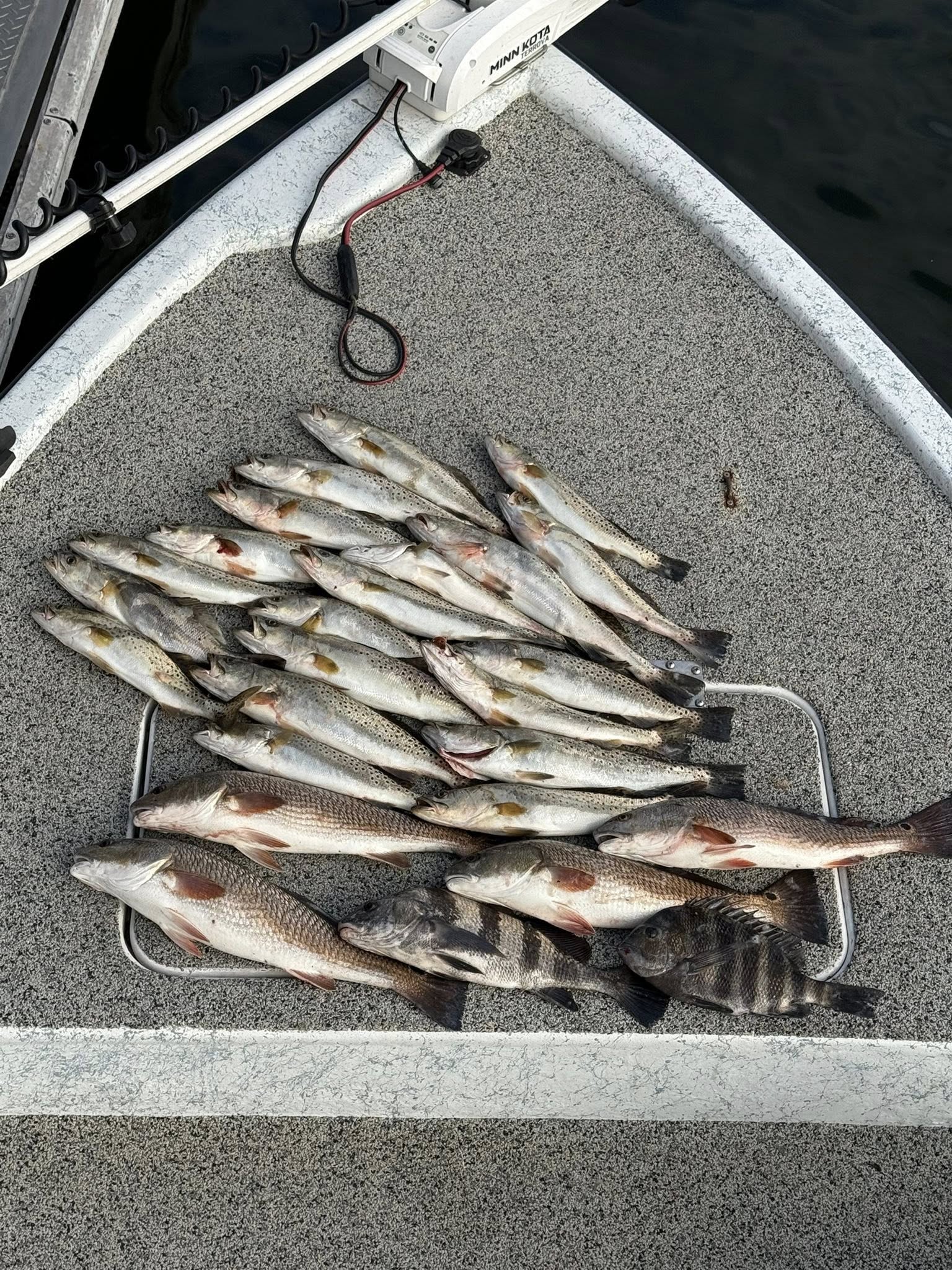 Loaded speckled trout and redfish catch