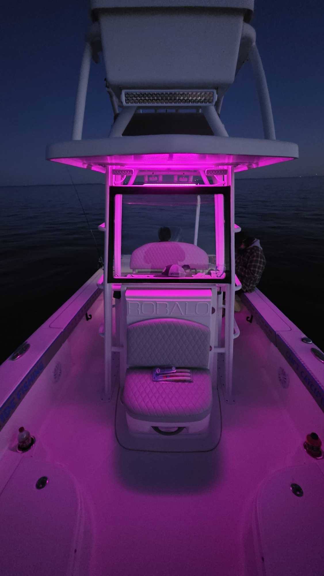 Night fishing setup glowing bright in Milford waters.