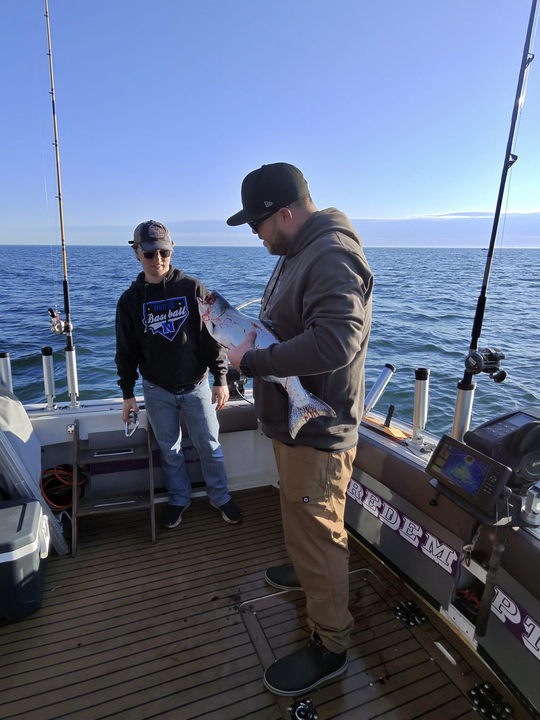 Lake Ontario Chinook salmon from deep trolling success!