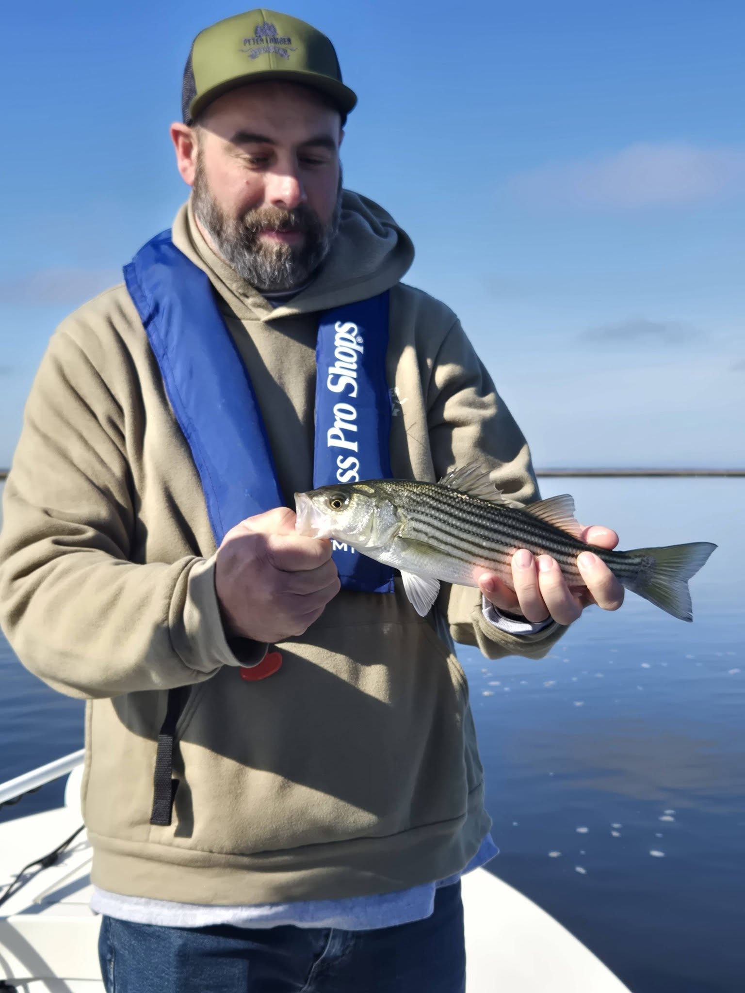 Nice striped bass from Avalon NJ waters!