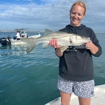 Beautiful Edgewater snook making the trip worthwhile!