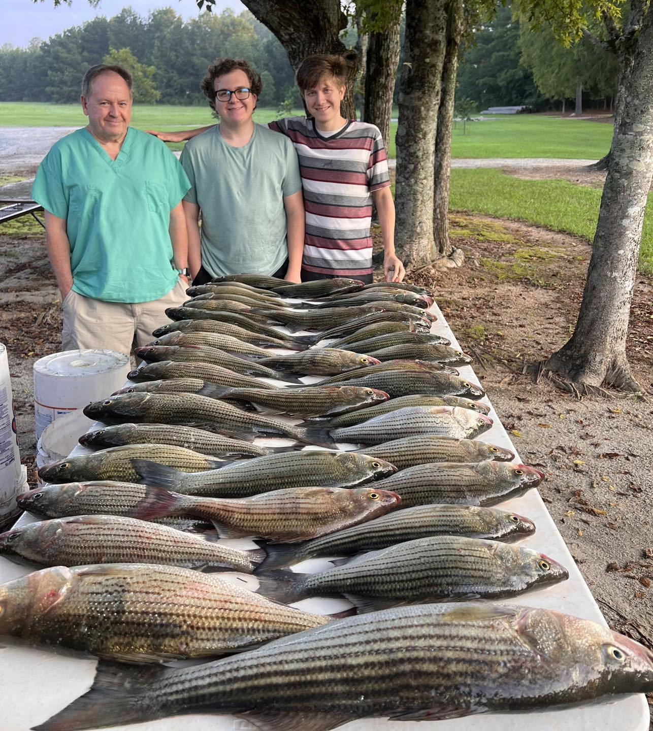 Heavy striped bass limit