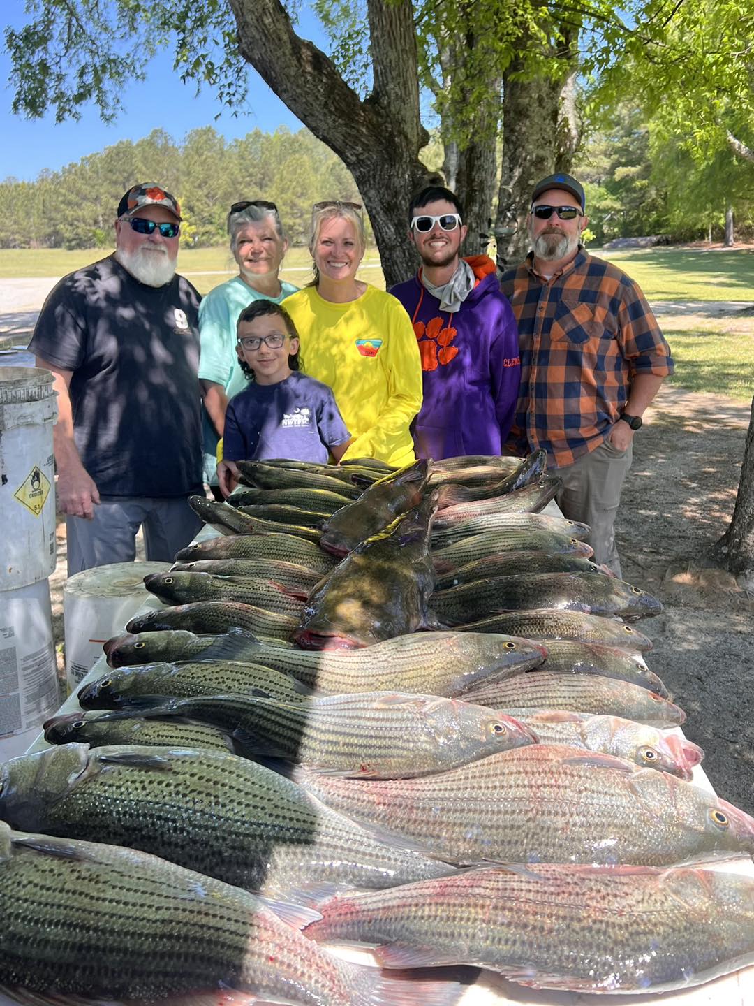 Outstanding white bass haul in Appling GA!