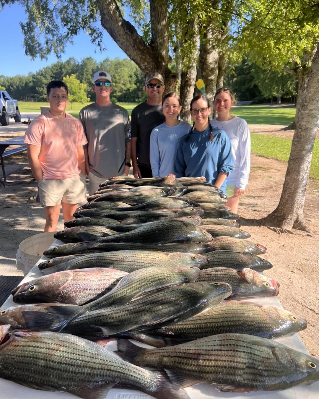 Incredible striped bass fishing haul.