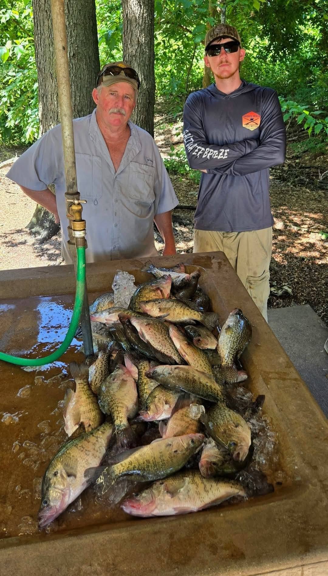 Outstanding crappie haul from Quitman TX waters!