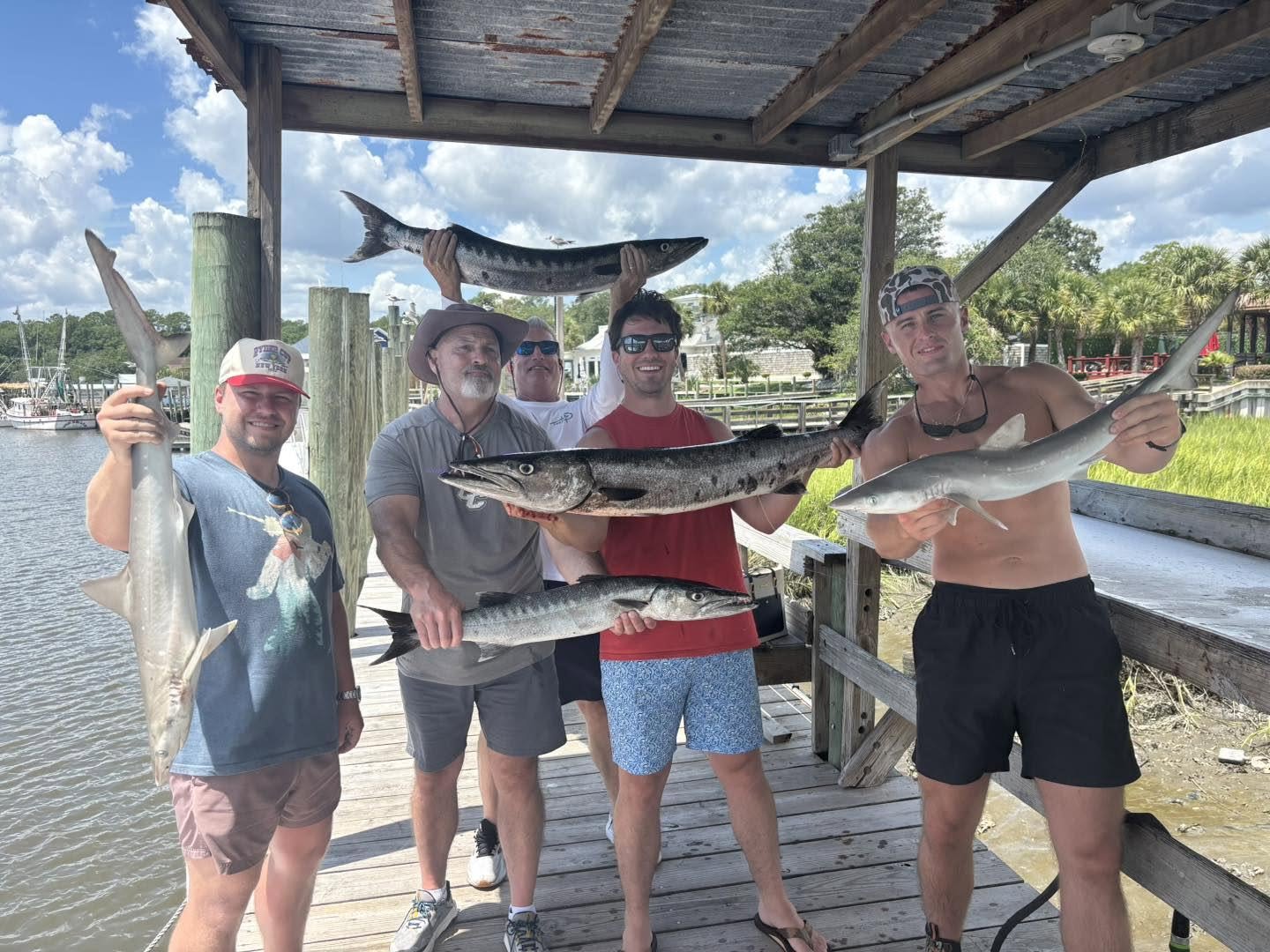 Great Barracuda and Atlantic Sharpnose Sharks from Calabash NC!