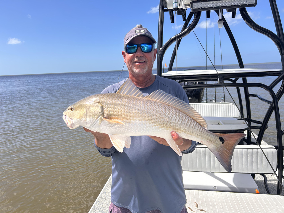 Nice redfish using trolling and drift fishing techniques today!