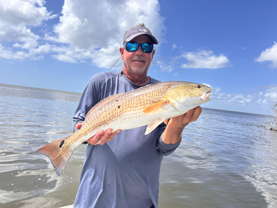 Nice redfish caught using trolling and drift fishing techniques at PaddleTail Waterfront Lodge!
