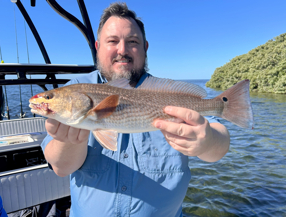 Nice redfish using trolling techniques in clear conditions today!