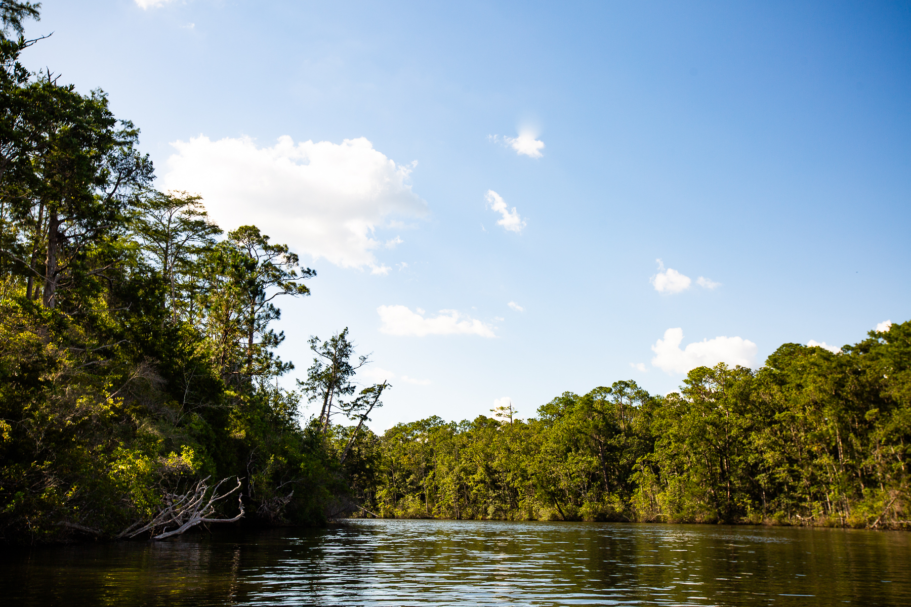 Perfect fishing waters await in Bagdad FL on the Yellow River
