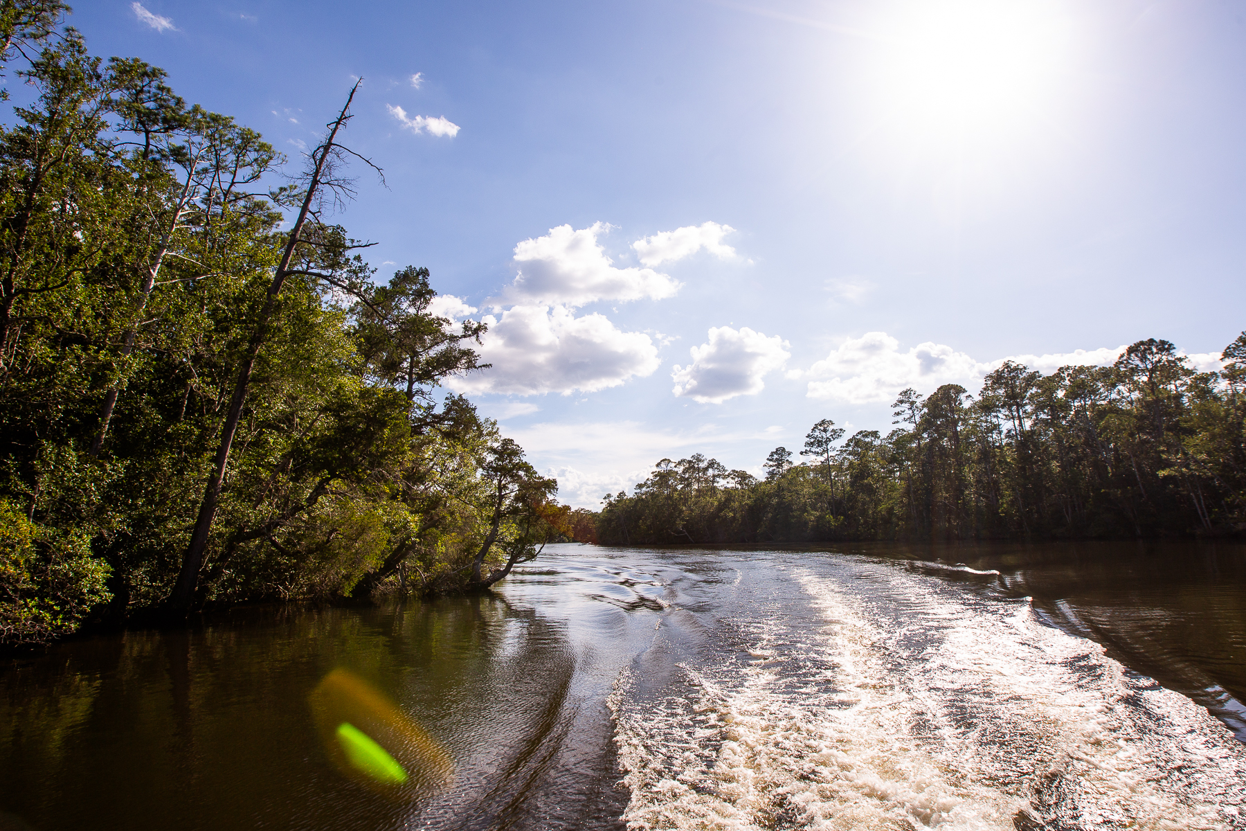 Prime fishing waters flowing through yellow river FL wilderness.