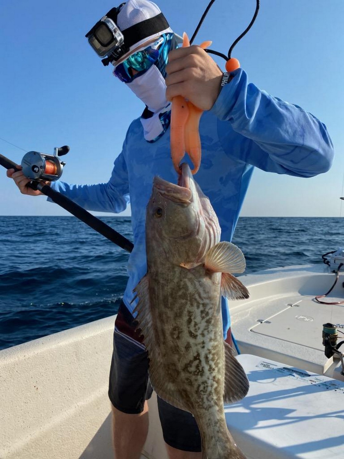 Grouper fishing in zpanama City
