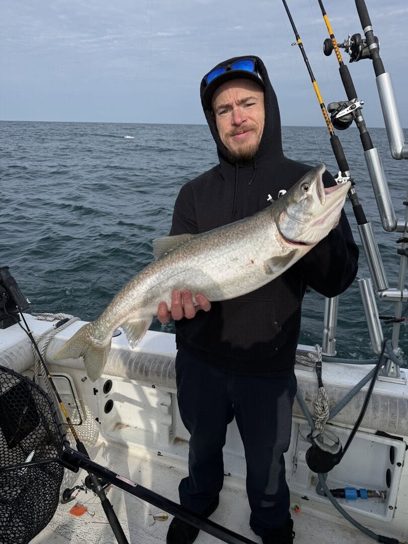 Beautiful Lake Trout from the waters of Erie PA!