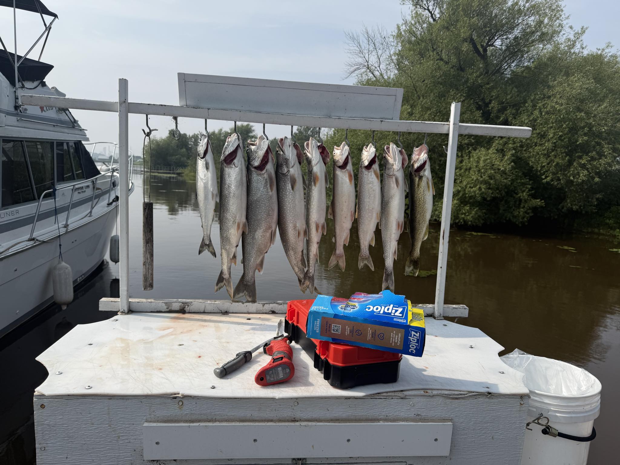 Impressive Lake Trout haul hanging dockside!