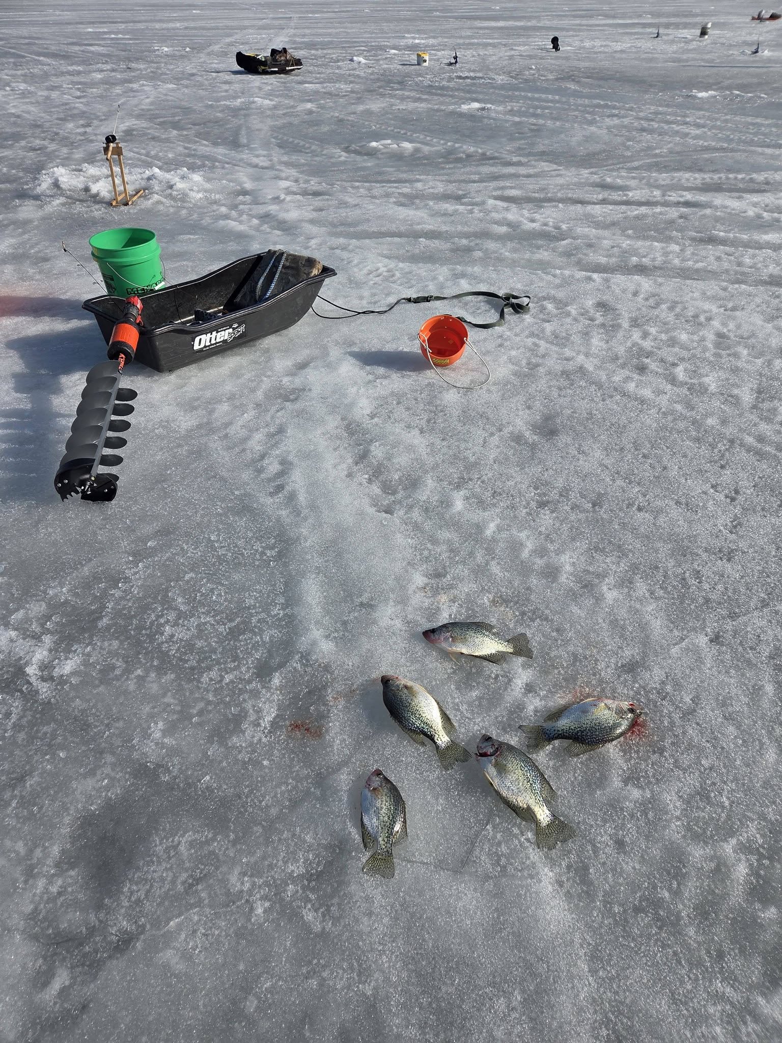 Chasing panfish through the ice in Mosinee, WI