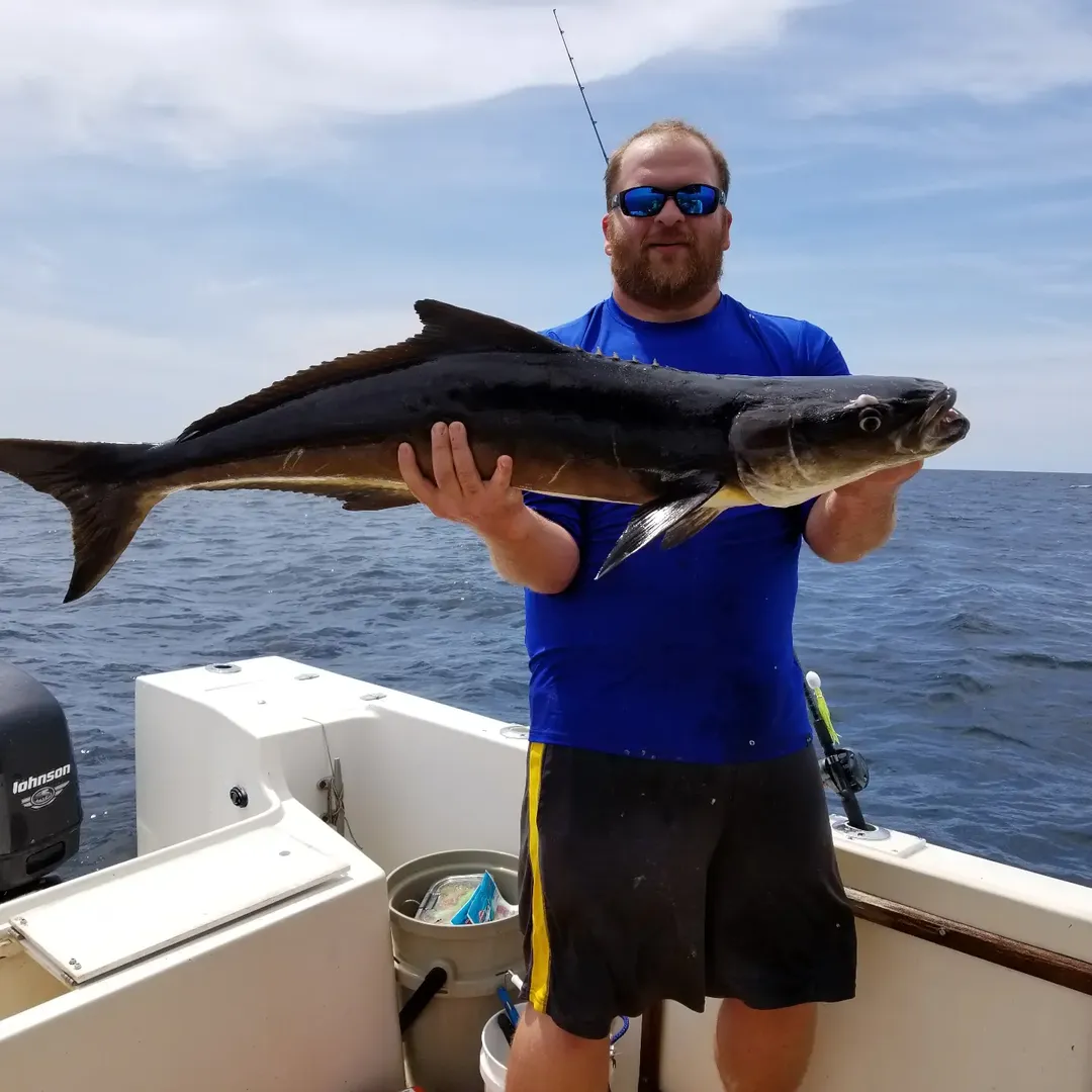 Strong mahi mahi on a Cape May fishing charter