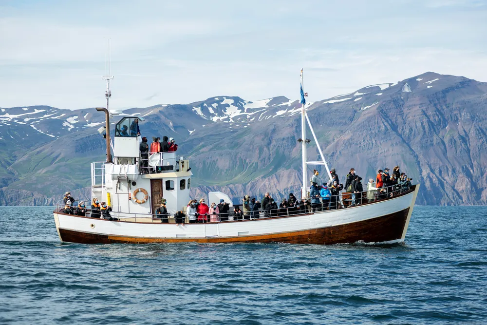 Best fishing charters in California 2026