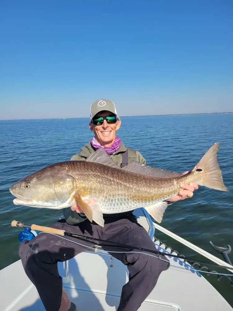 The Ultimate Guide to Catching Redfish