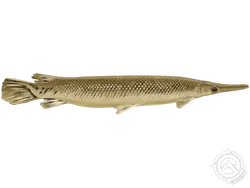 Alligator Gar