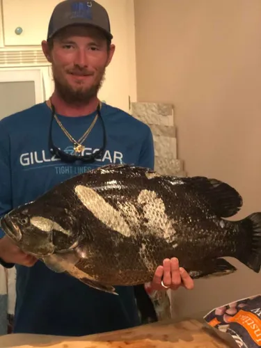 Enjoy the Best Saltwater Fly Fishing in Sarasota Bay's Waters