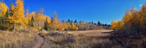 How to Become a Hiking Guide