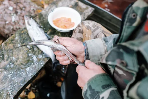 How to Secure the Best Fishing Experience on a Tight Schedule