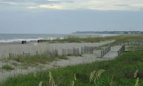 Hilton Head Fishing Charter: Your Complete Guide