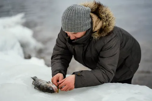 Ice Fishing Trips: Why Guided Experiences Are Safer & More Productive