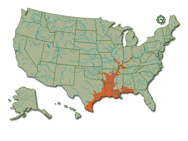 Alligator Gar United States Heatmap