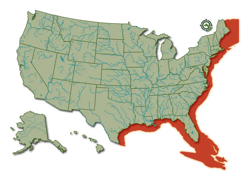 Atlantic_Bonito_HeatMap@1600x