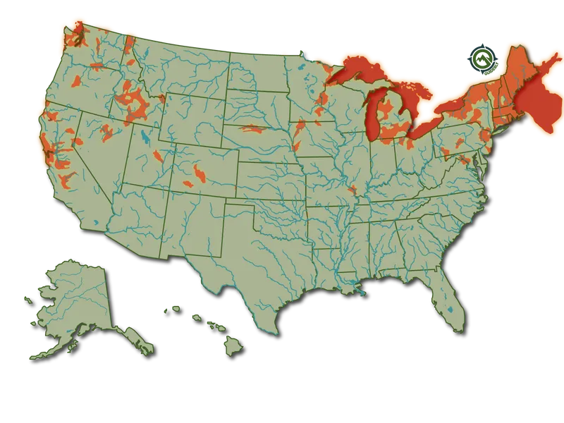 Atlantic Salmon United States Distribution Heatmap