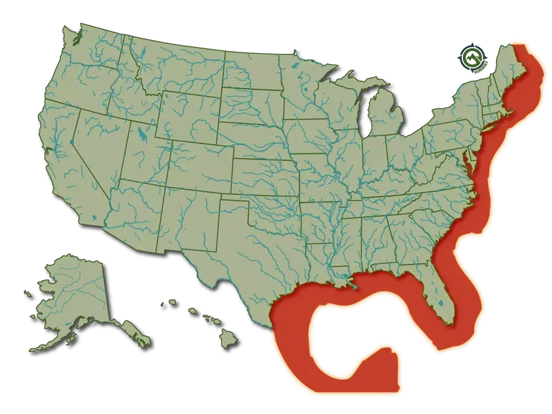 /atlantic spanish mackerel location and distribution
