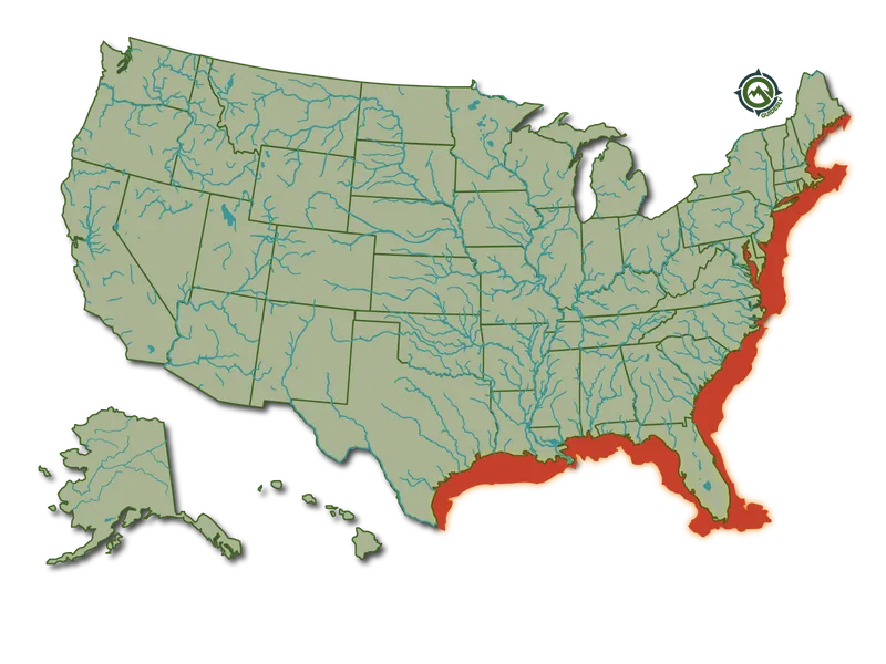 BlackSea_Bass_HeatMap@1600x