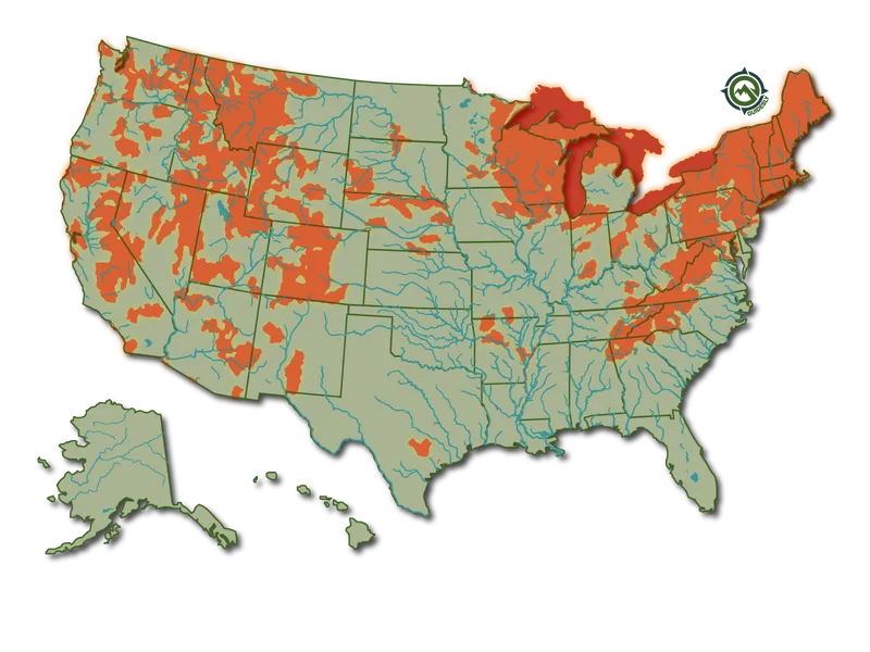 Brook Trout Fish United States Fishing Heatmap