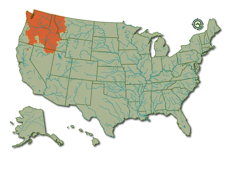 BullTrout_HeatMap@1600x